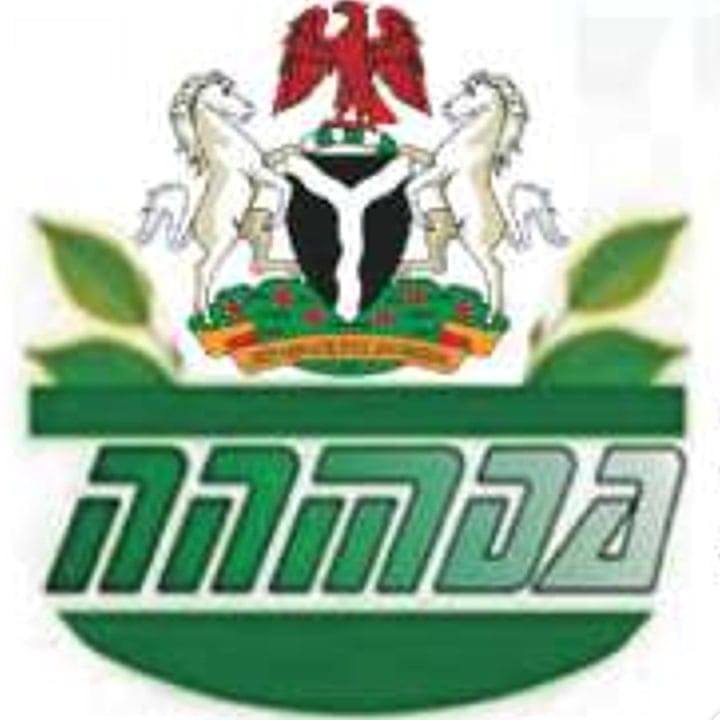 You are currently viewing NNMDA To Establish Herbal Clinics In 774 LGAs