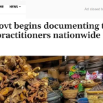 Nigerian Govt Begins Documenting Traditional Medicine Practitioners Nationwide – Daily Nigerian