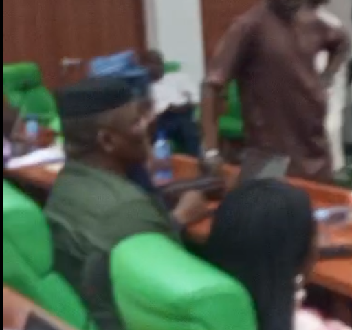 Prof Emeje WHO STAG TM Appointment Commended by House of Representatives