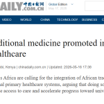 Role of traditional medicine promoted in African healthcare