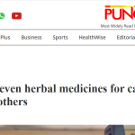 Transforming Healthcare: FG Unveils Seven Herbal Medicines for Cancer, Hepatitis B and More